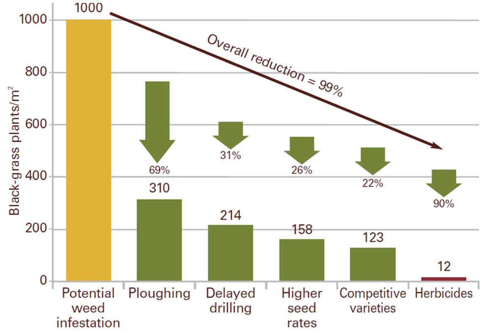 Graph-Ploughing-is-recommen